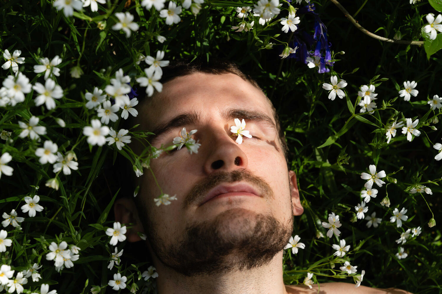 Shaun Hill EcoPoet | Meadow 2025 Poet Shaun Hill finding somatic rest in a patch of wildflowers. Surrendering in sunlight as petals cover his eyes.