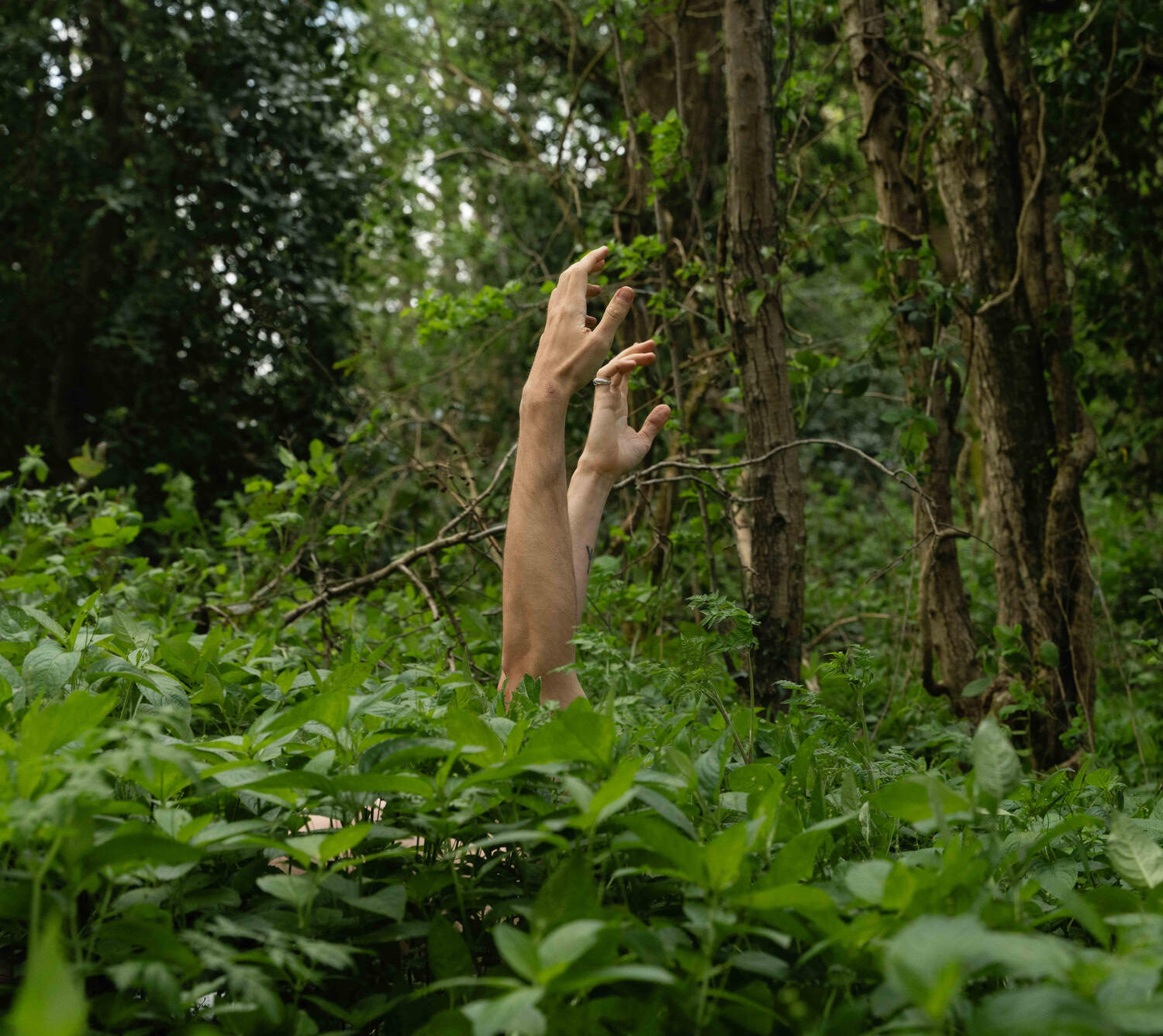 Shaun Hill Embodied Woodland Poet Shaun performing somatic movement on a forest floor